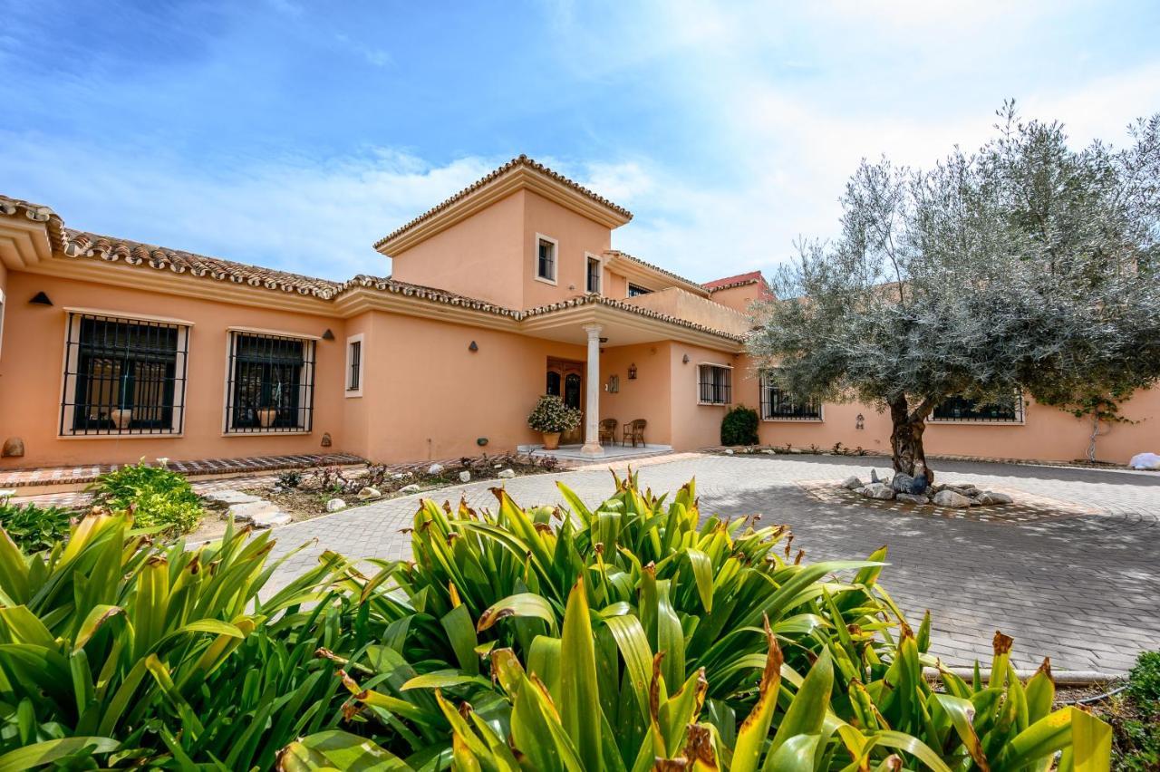 Villa Saguaro Malaga ألاورين ذي ر تورّي المظهر الخارجي الصورة